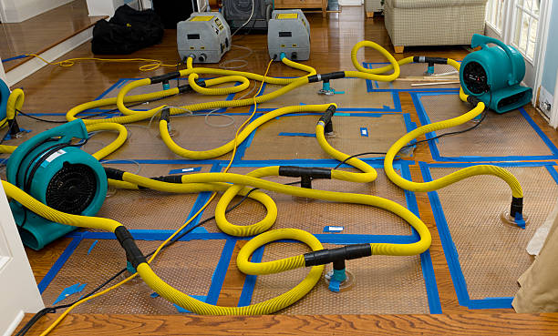 Professional Structural Drying And Dehumidification technician working in Hackberry, AZ